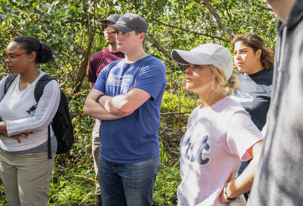 Students listen to instructions from the guide in the urban wetlands of Puerto Rico