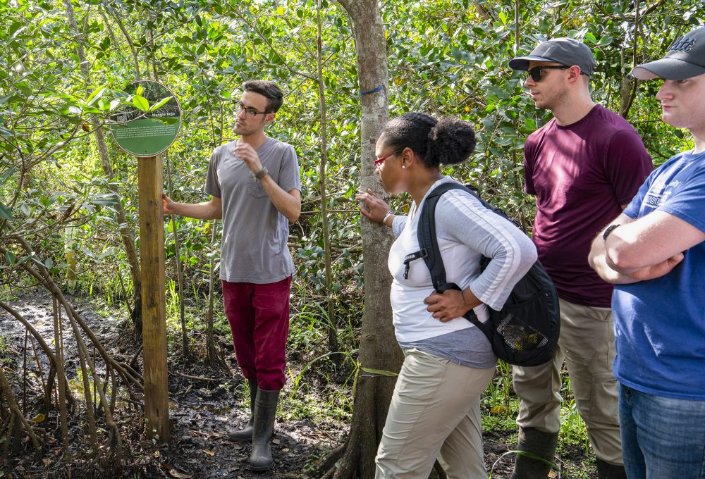 Students take an outdoor tour of the urban wetlands of Puerto Rico