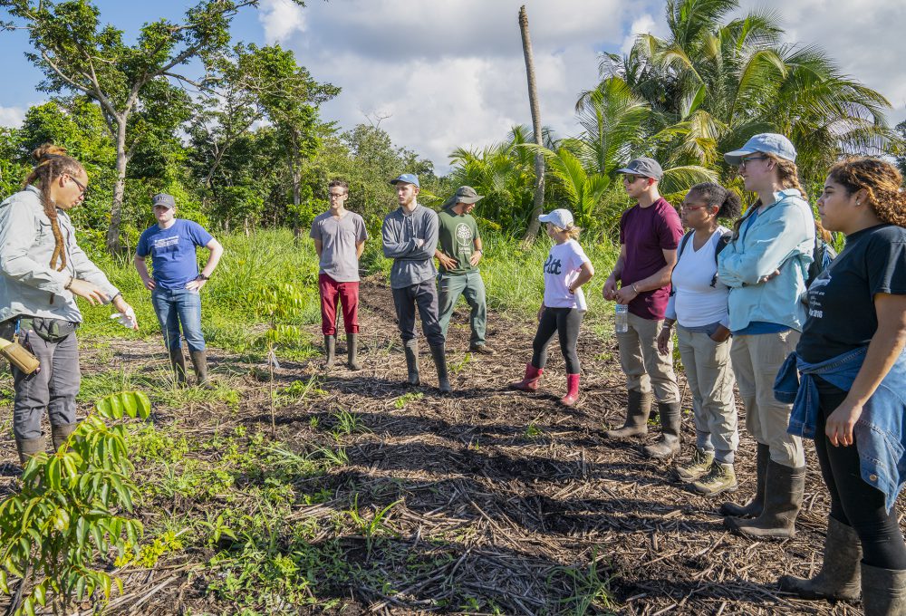 The students stand in a field of dirt and greenery in Puerto Rico